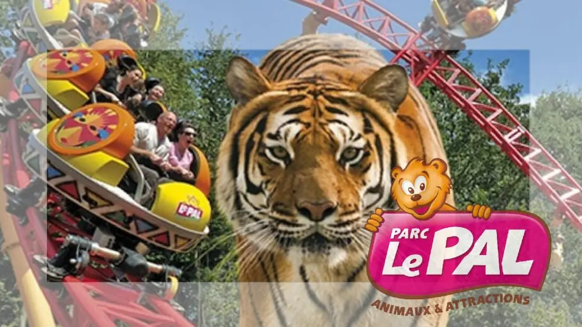 Chambre Familiale 4 Voyageurs