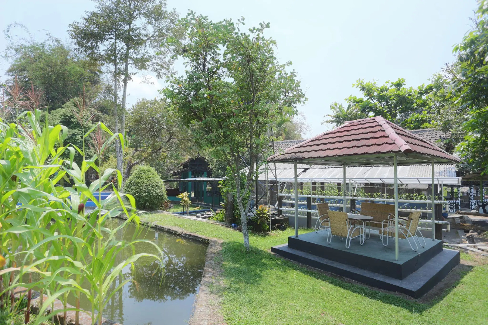 Hotel O Penginapan Kepurun Pawana Indonesia