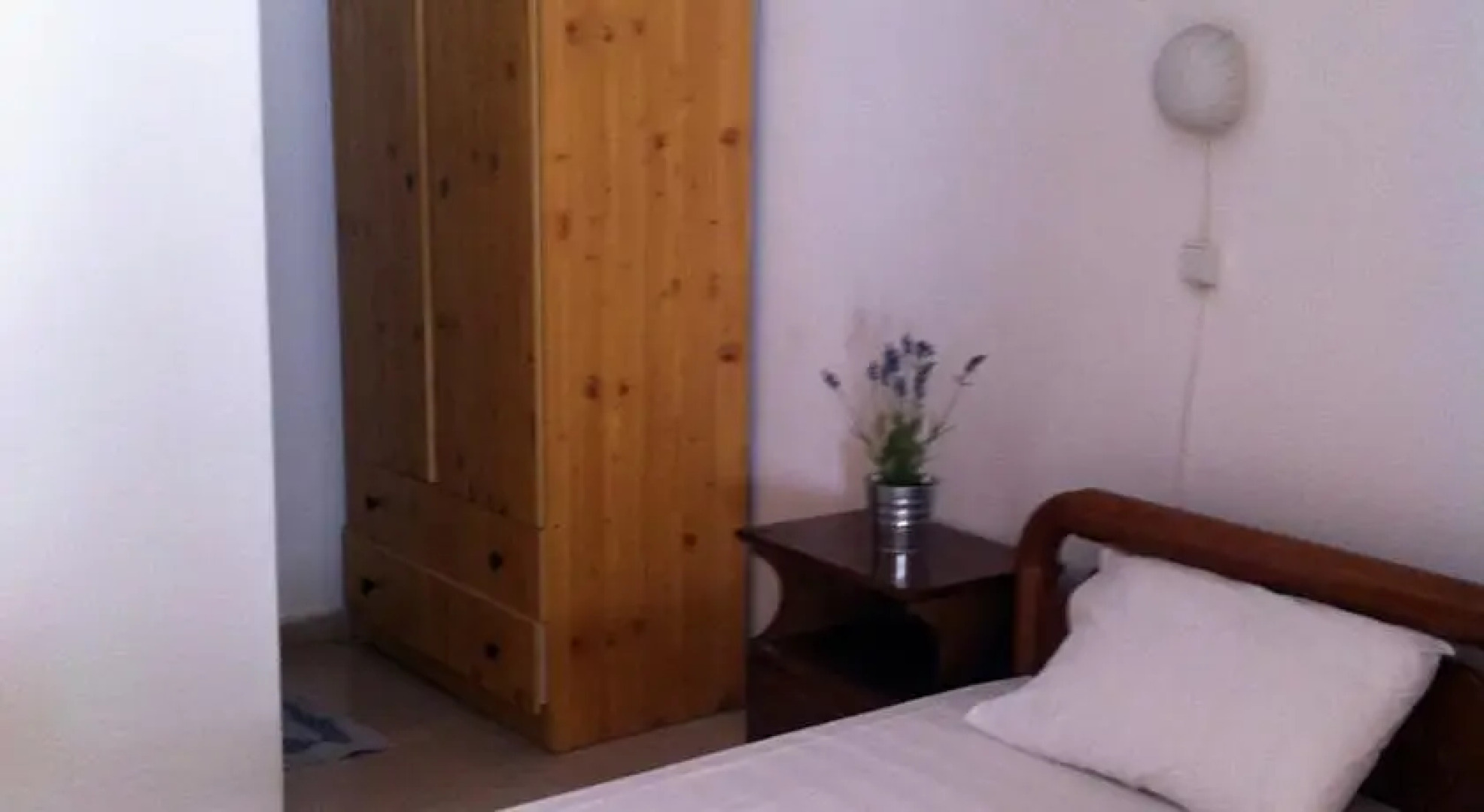 Olympic Holiday Zigos