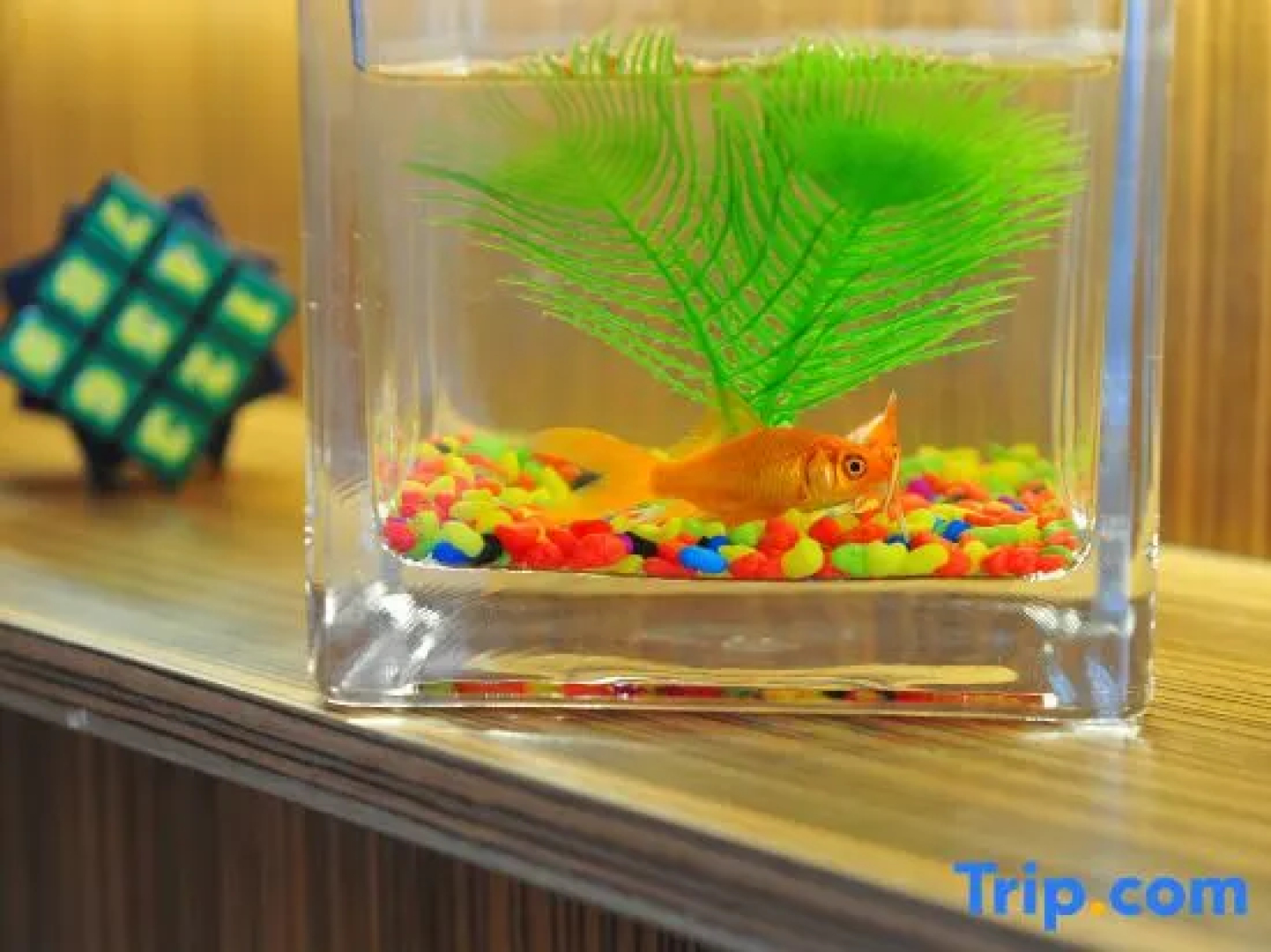 Yinchuan Shenhua Hotel