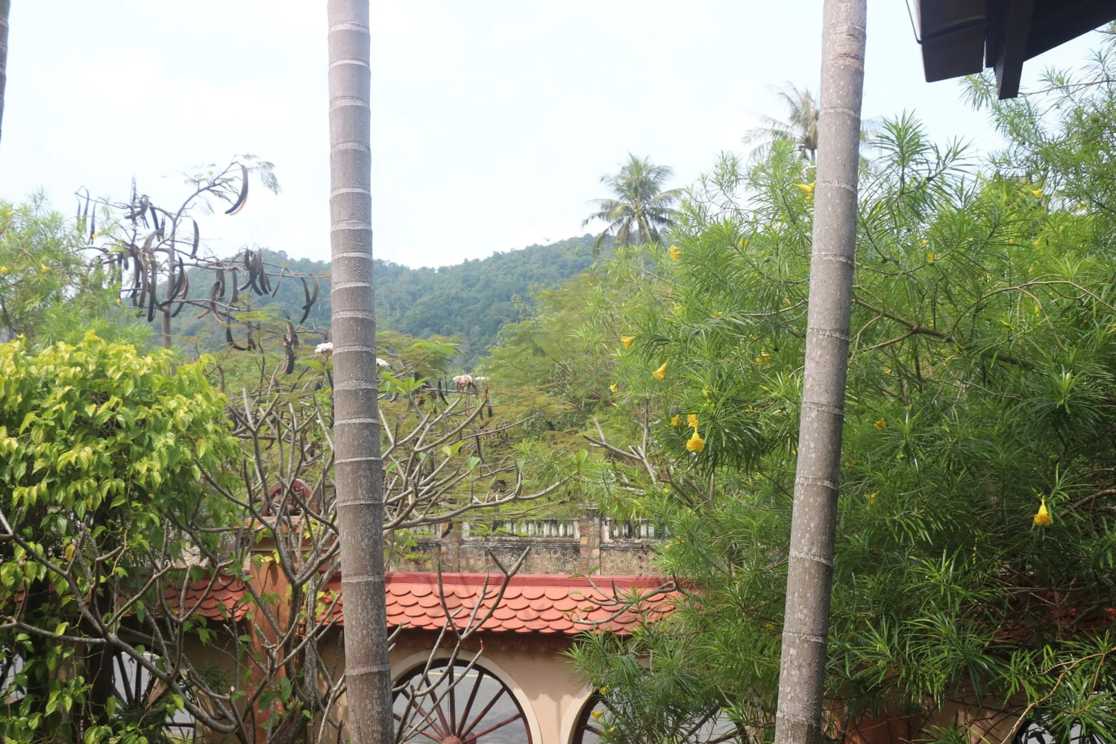 Palm House Kep