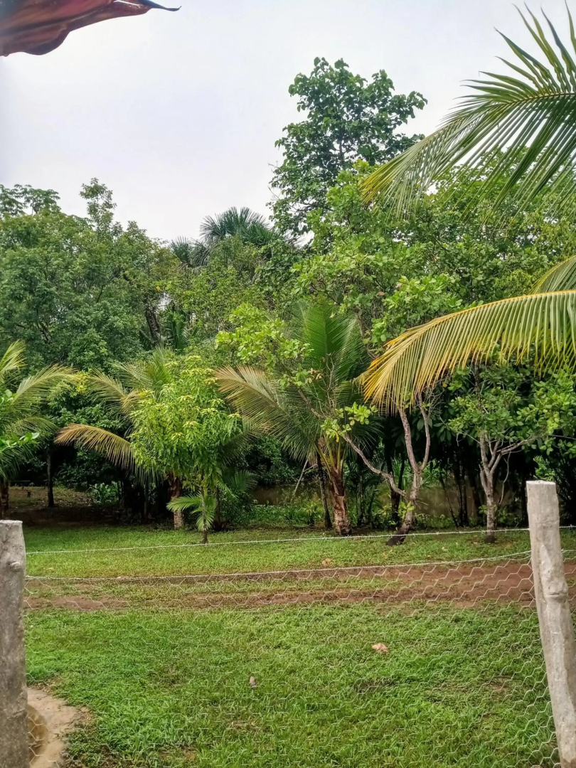 Recanto Do Sabiá
