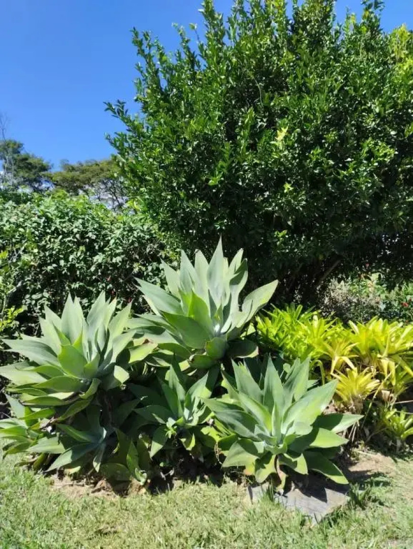 Suítes Aconchegantes em Miguel Pereira RJ!