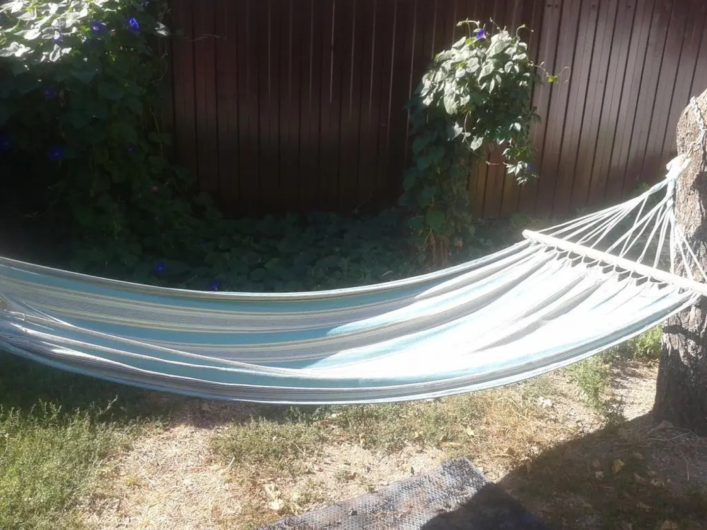 Mini-hotel Yutnii dvorik