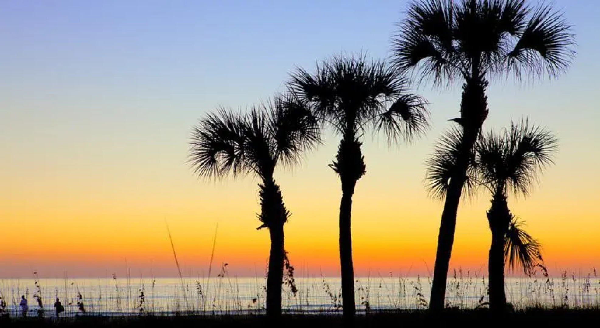 Castaway Cove 3B by Vacation Rental Pros