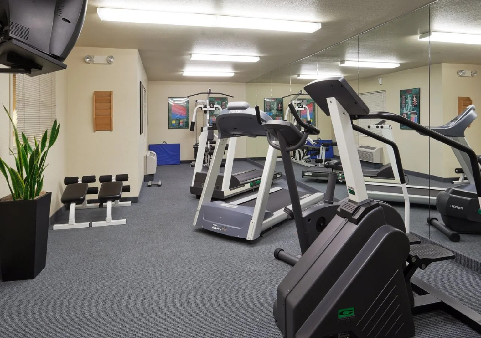 Sonesta Simply Suites Silicon Valley Santa Clara