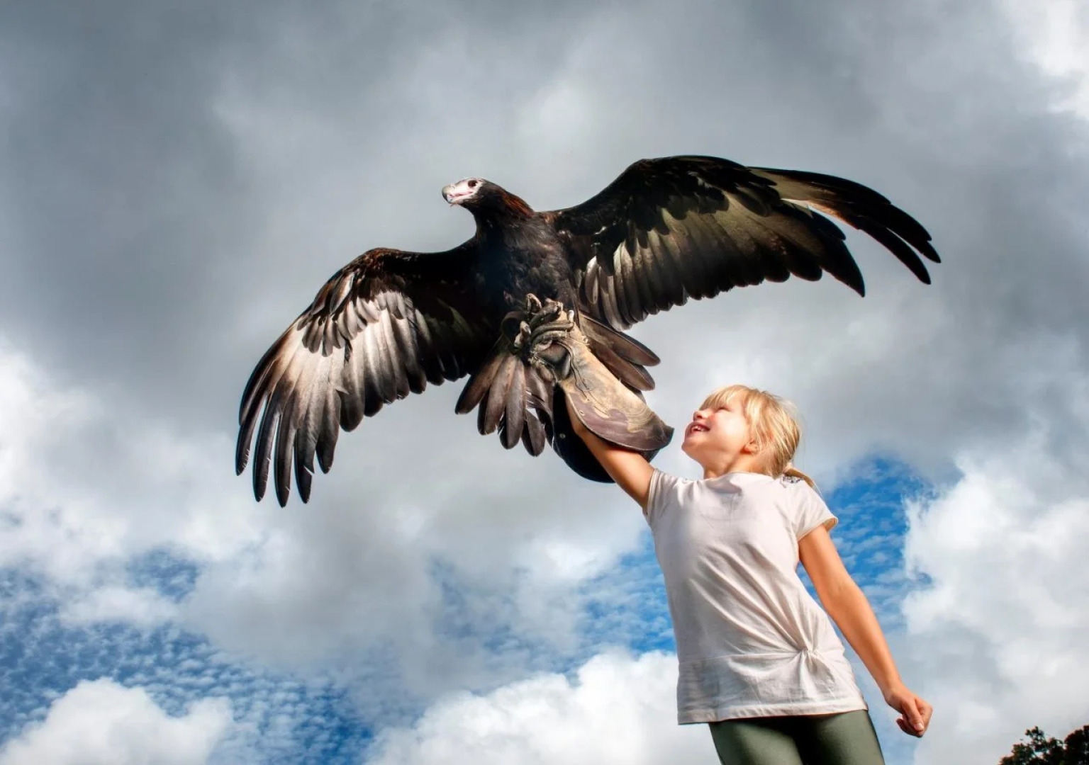 O'Reilly's Rainforest Retreat