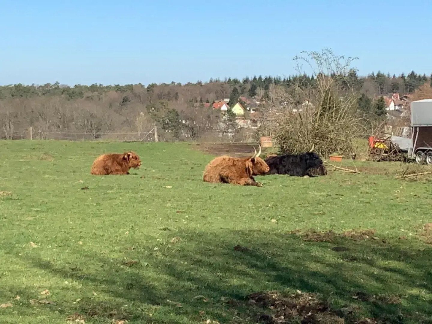 Hen Coop in Complete House Mit Optionaler Sauna