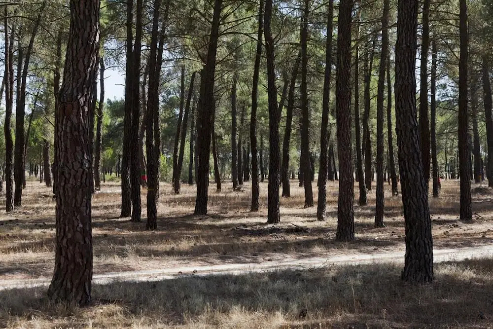 House With 6 Rooms in Nava de la Asunción, With Private Pool, Terrace, Enclosed Garden and Wifi