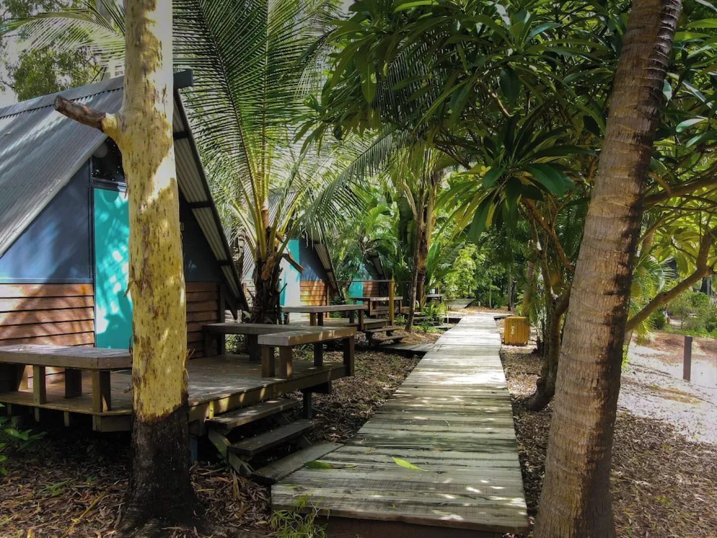 Bounce Magnetic Island