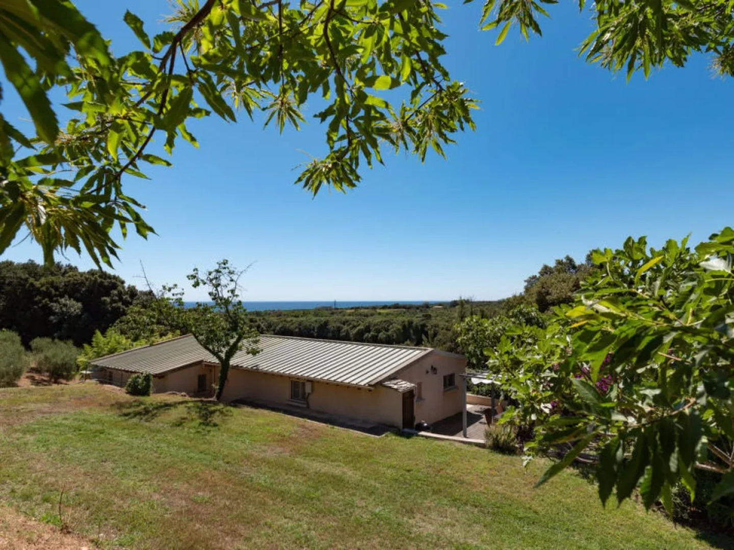 Rutili - Josee (CTN255)