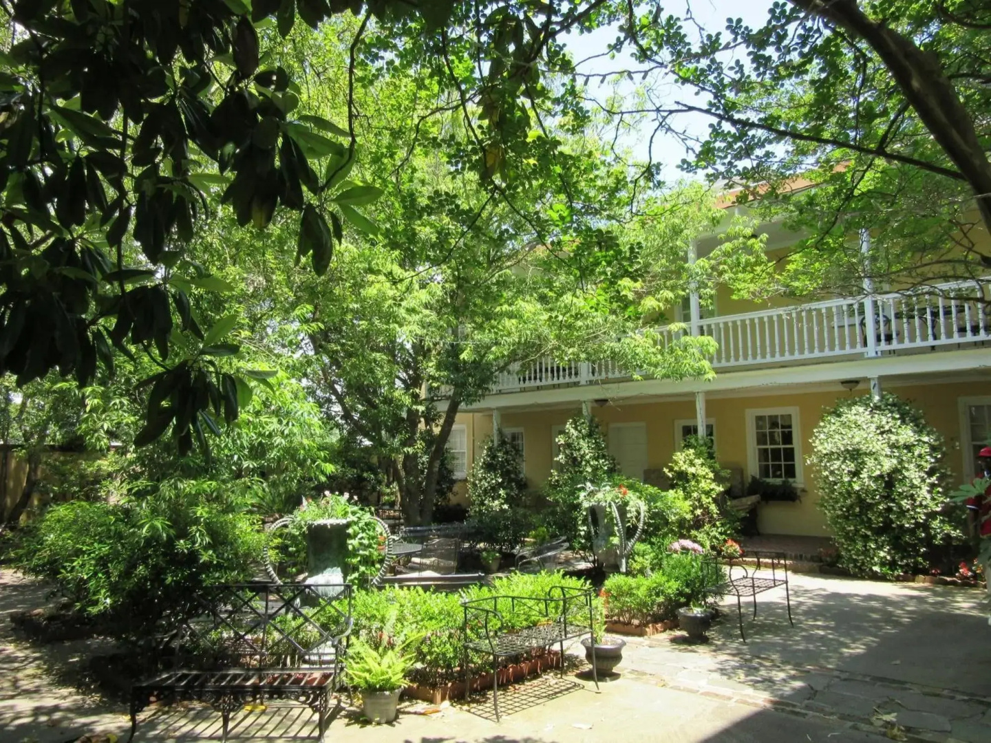 The Jasmine House