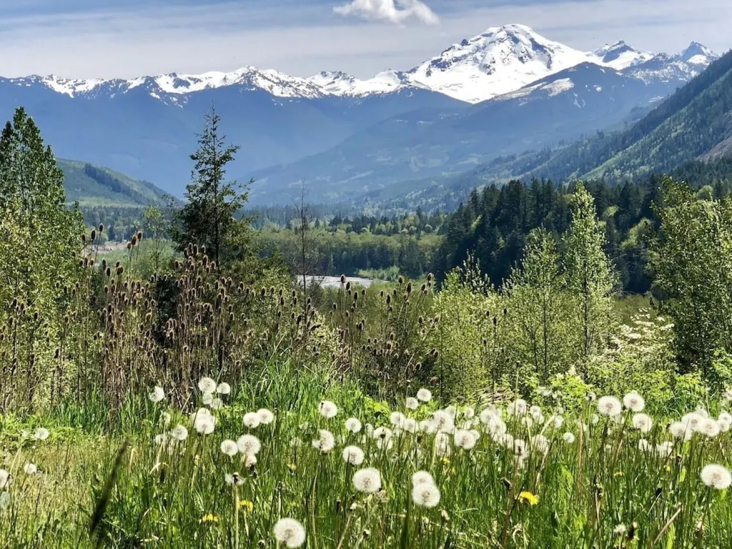 15mbh - Amazing Mountain Views - Hot Tub - Pets Ok 3 Bedroom Home by RedAwning