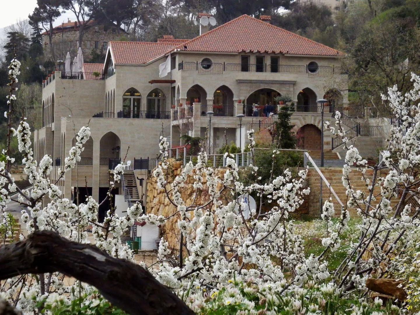 Cherry Blossom Boutique Hotel