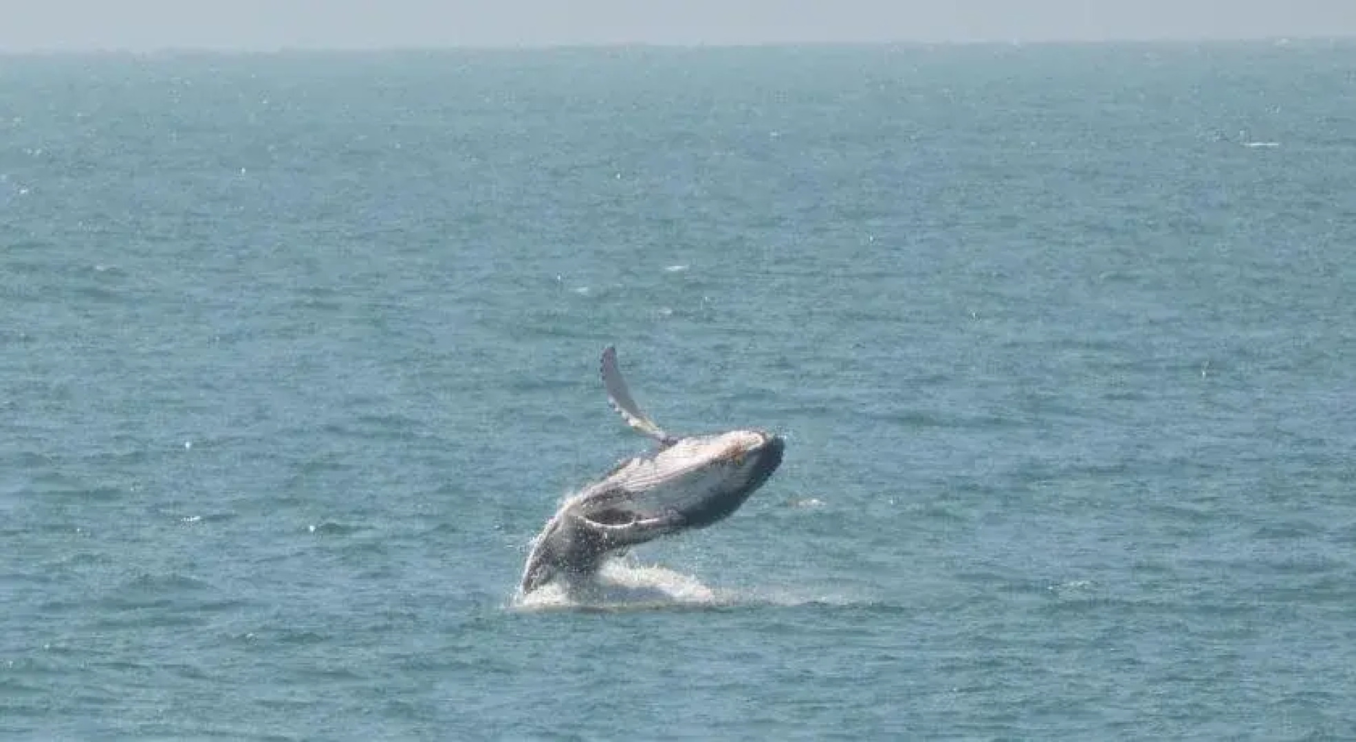 Punta Mero Eco Suites