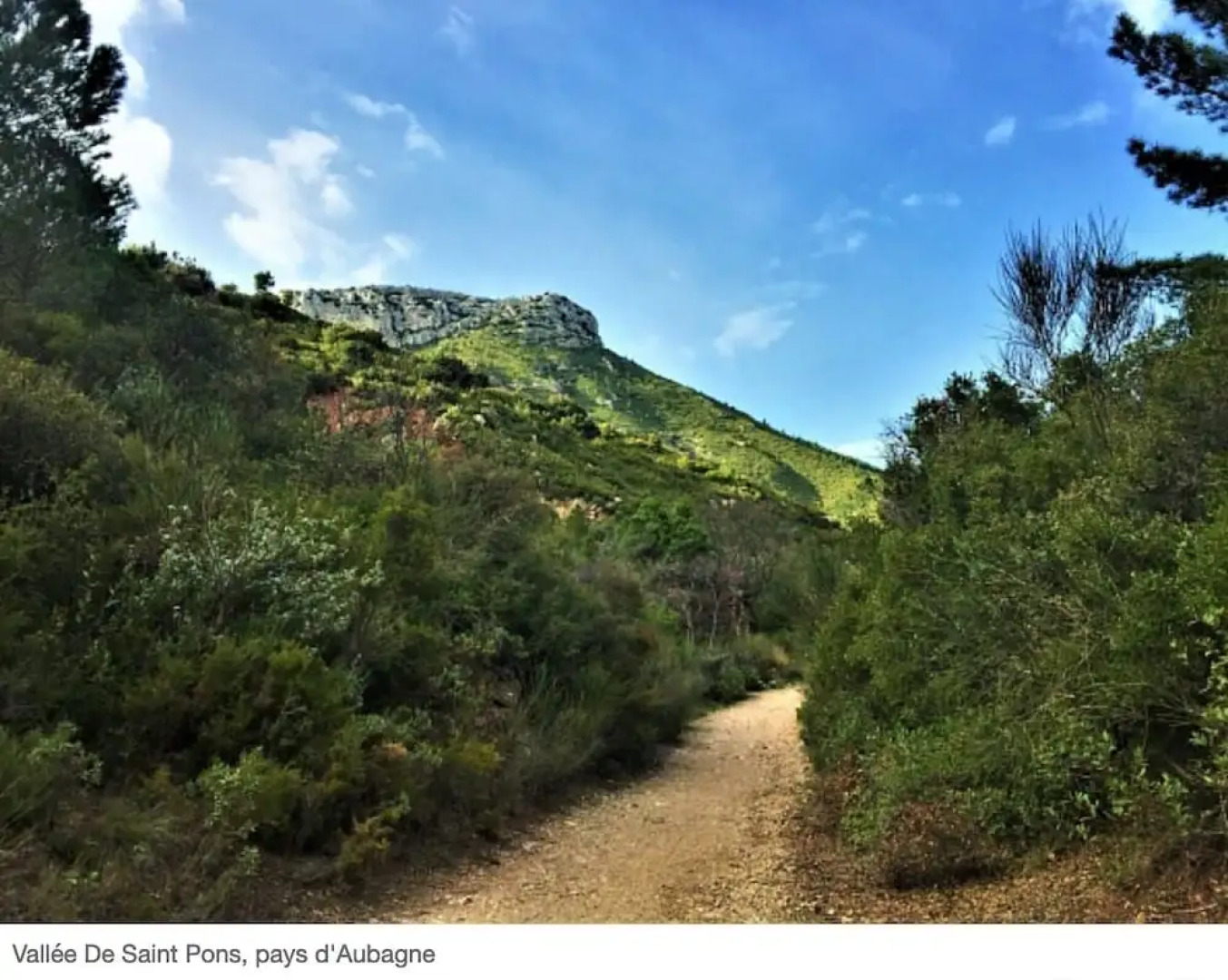 La Tanière de l'Ours Blanc Aubagne-Cassis-Aix en Provence