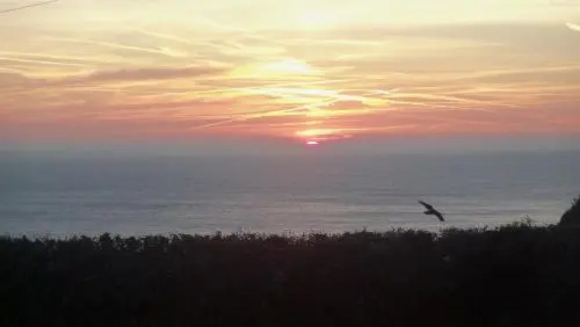 The Cabin with the View (Adults Only)