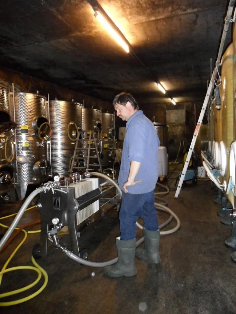 Gästehaus Weingut - Fröhliches Weinfass