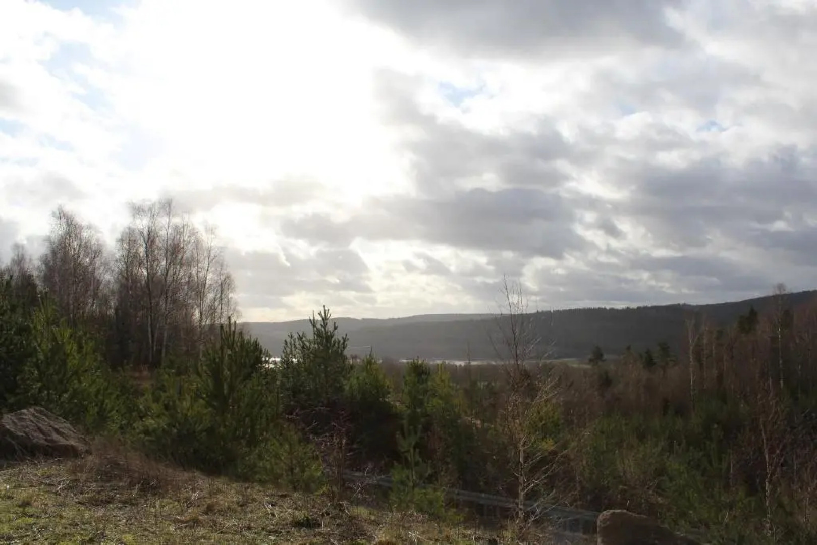 Gasthaus & Pension "Schwarzer Adler"