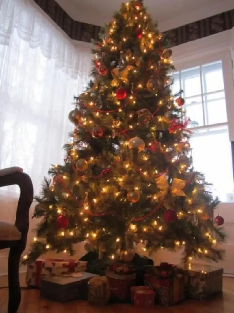 The Dawson House Bed & Breakfast