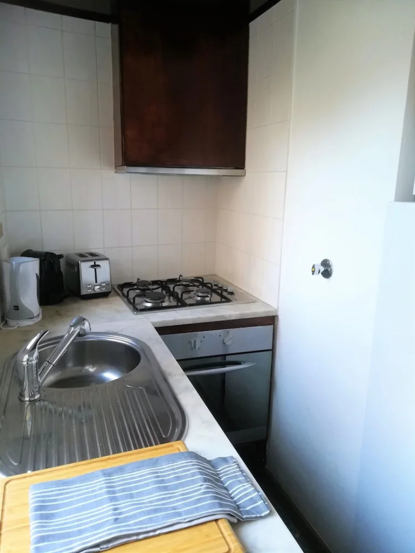 Lisbon Terrace Suites Apartment for Large Groups with Amazing Terrace