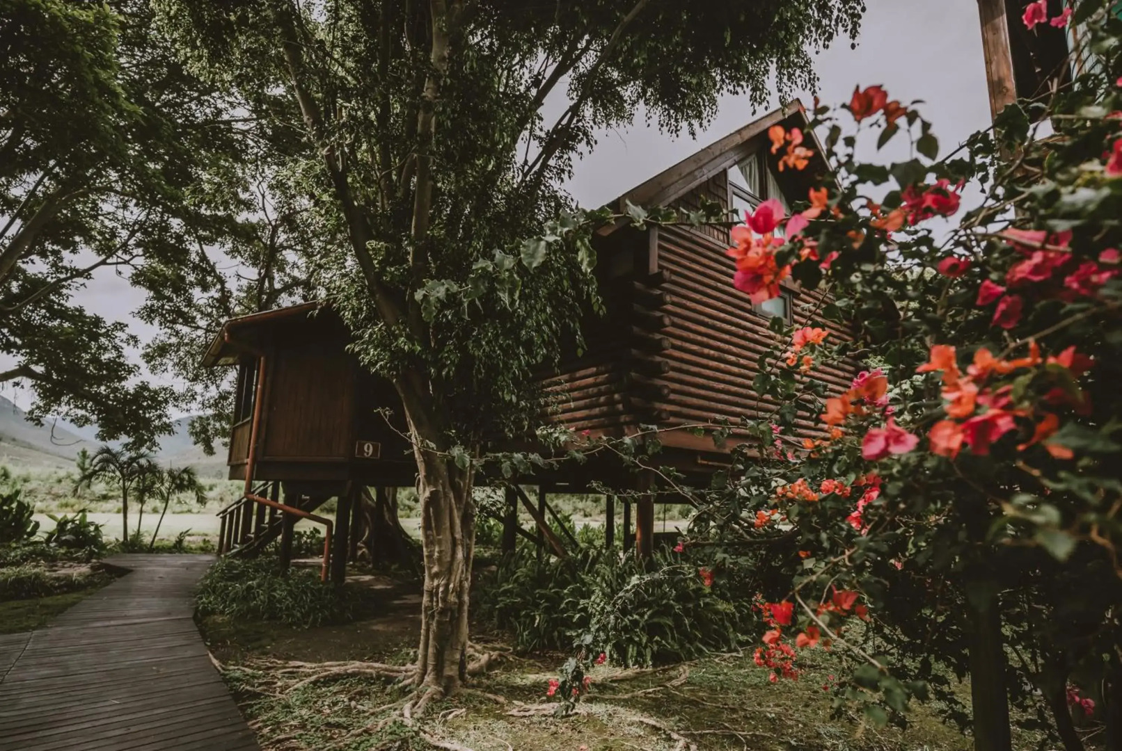 Tsitsikamma Lodge & Spa