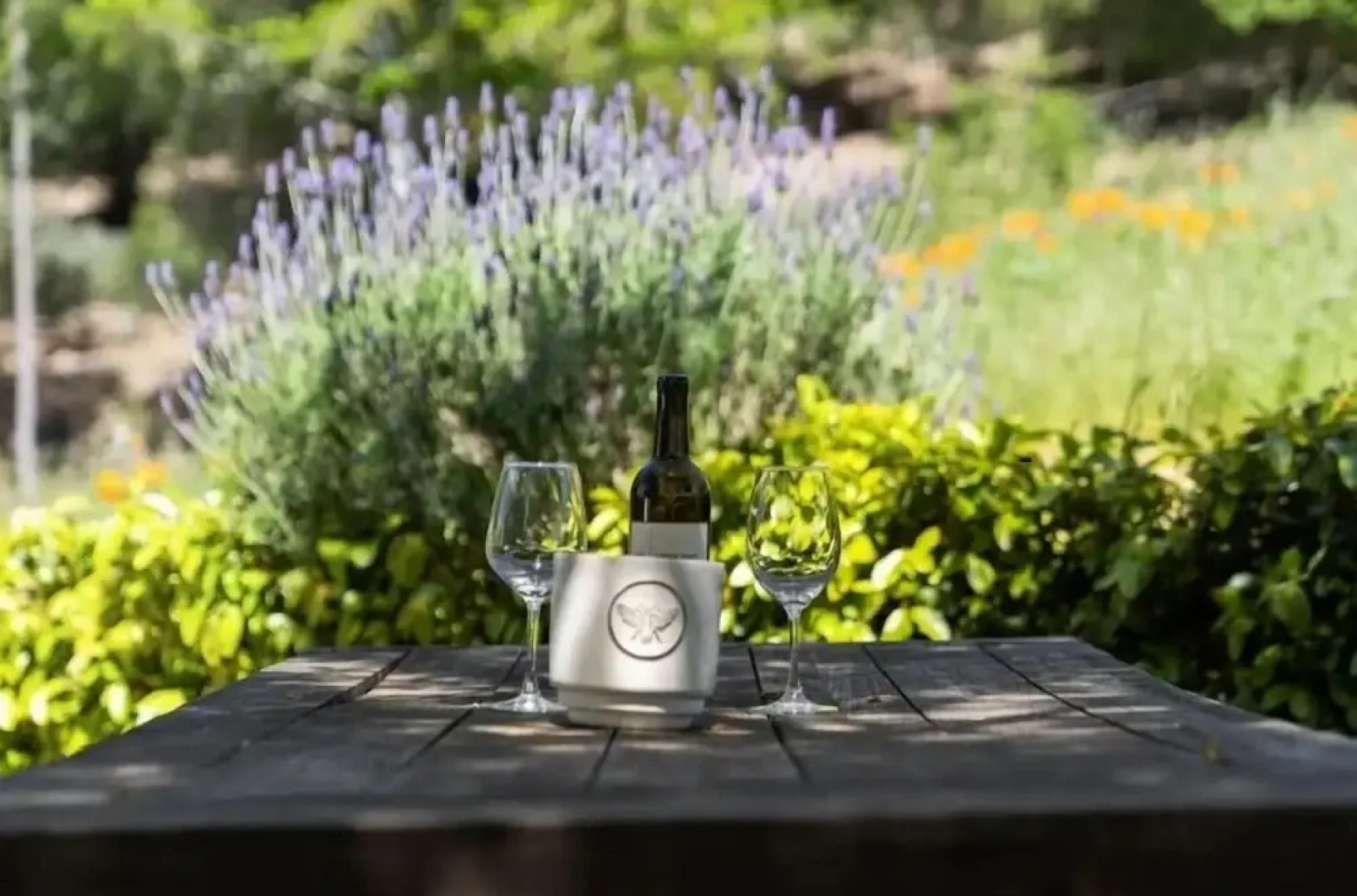 Wine Country Retreat W/ Casita, Bocce And Sunset Views! 3 Bedroom Home by RedAwning