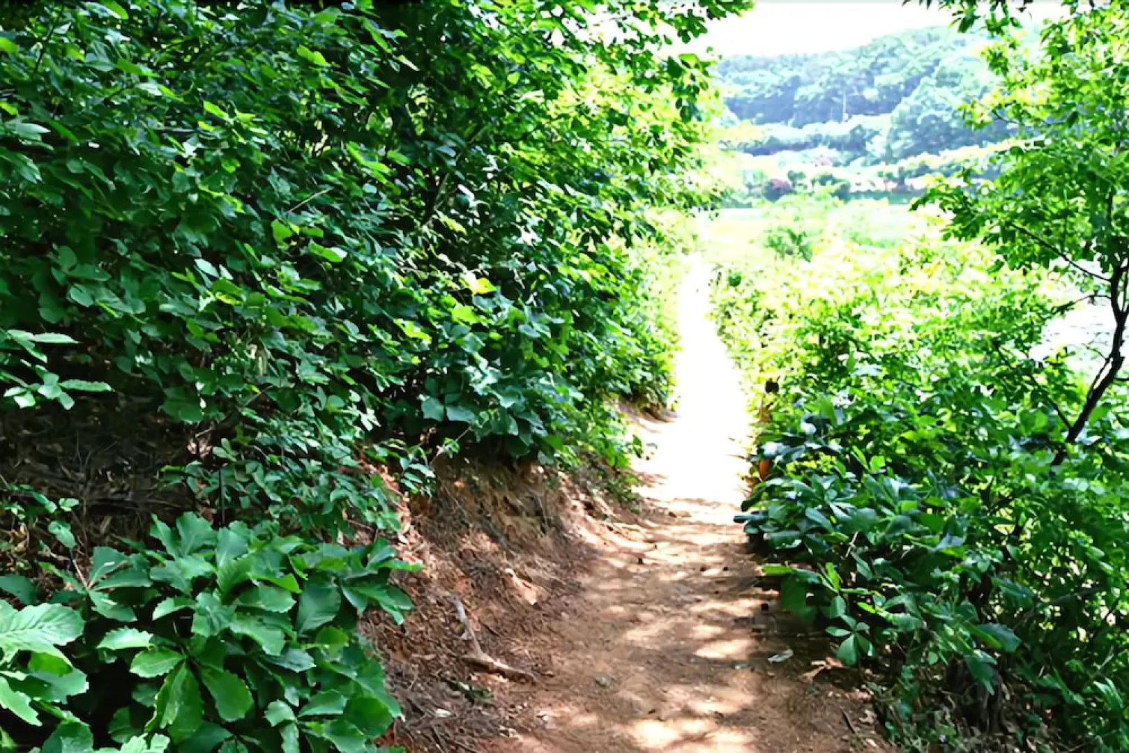 Yangpyeong Sudarak Pension