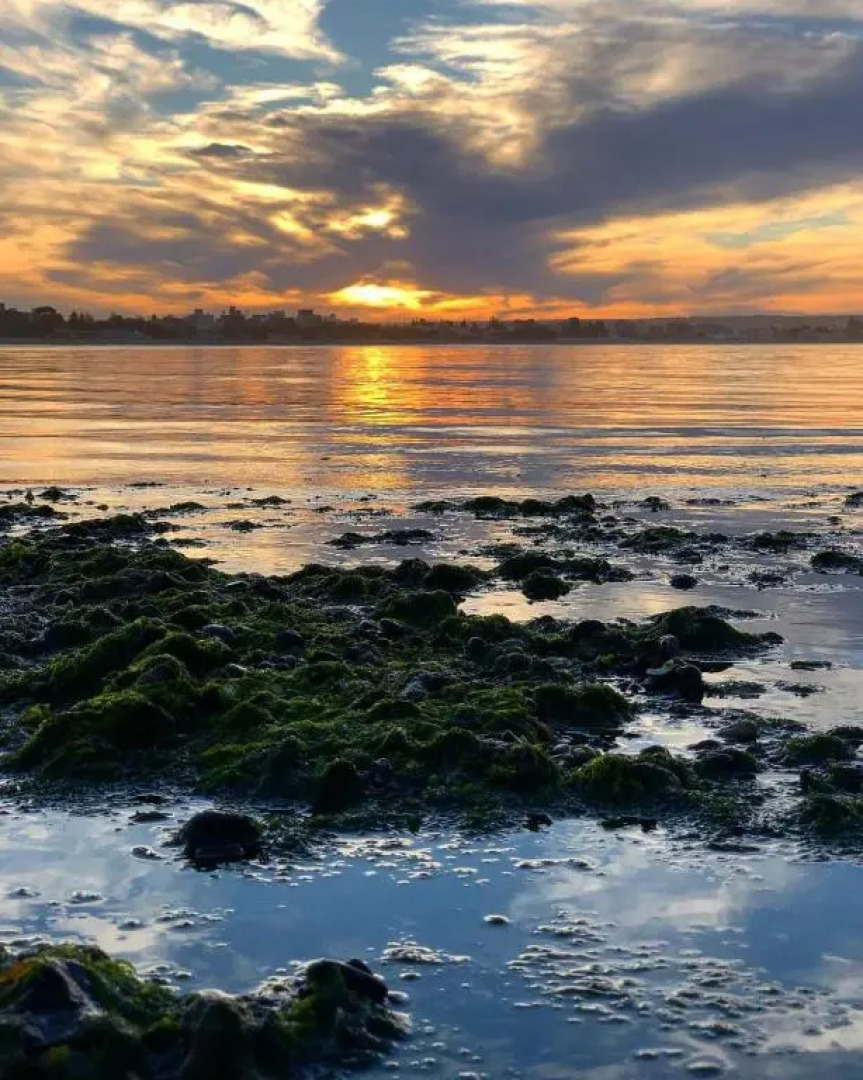 Coral II Departamento B