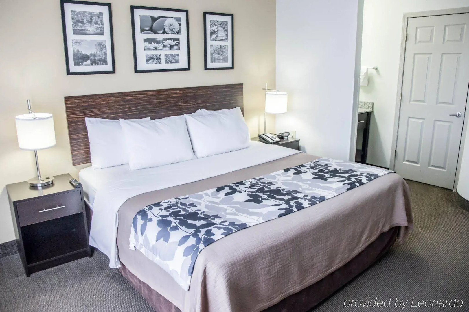 Sleep Inn Tinley Park I-80 near Amphitheatre-Convention Center