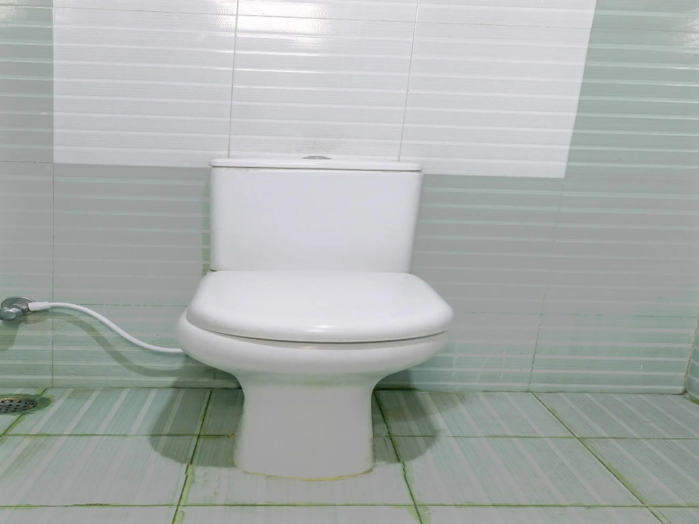 OYO 16930 Madhura Inn