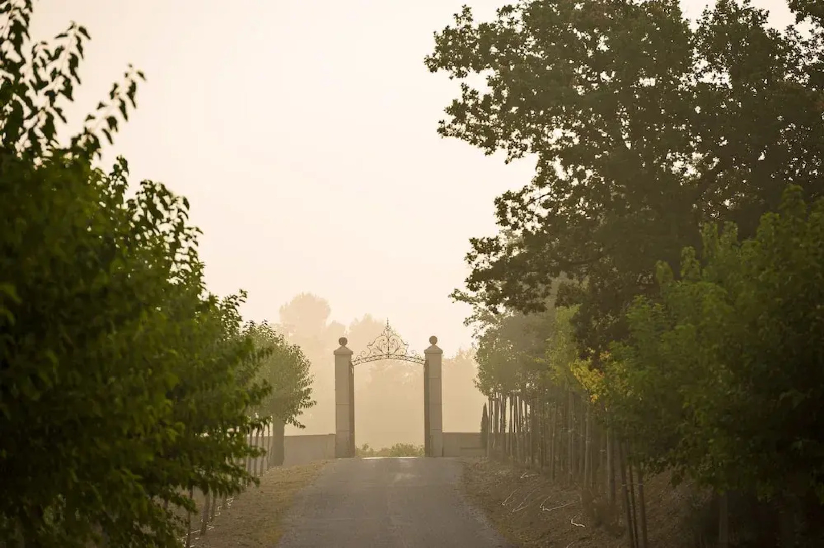 Les Terres de Saint Hilaire