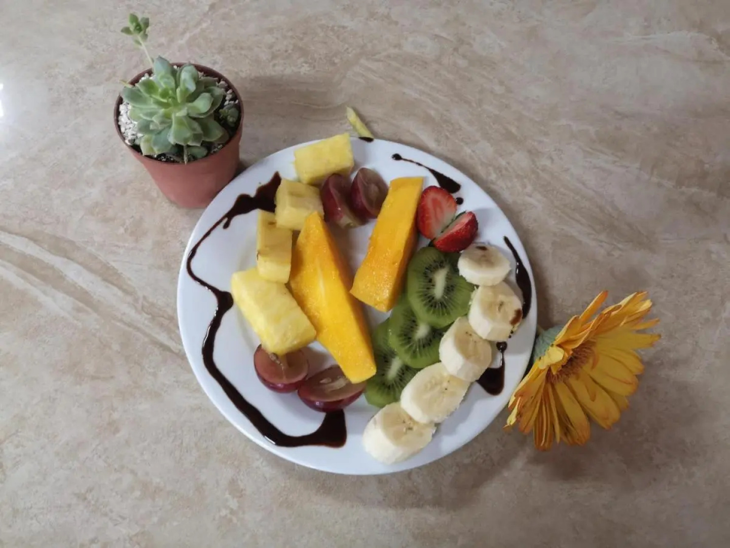 Hostel Coati Place Bed & Breakfast