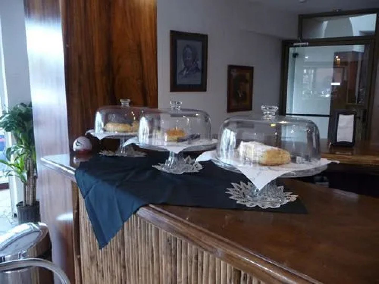 Alajuela Backpackers Airport Hostel