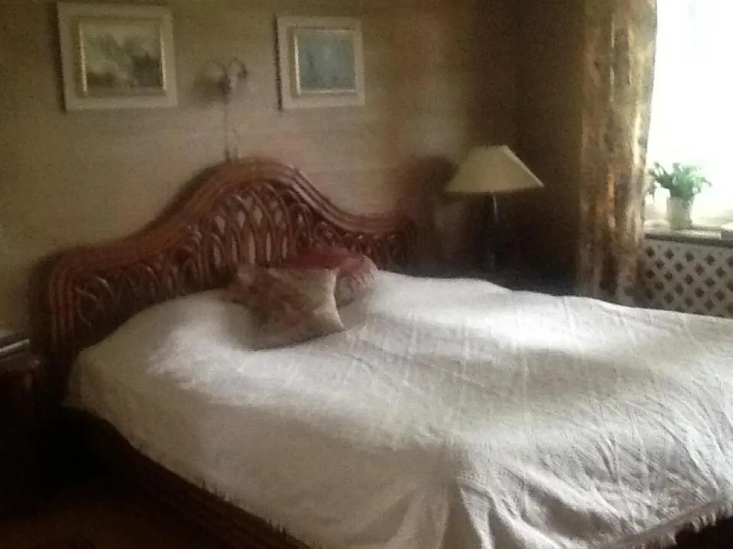 Fornuddens Bed and Breakfast