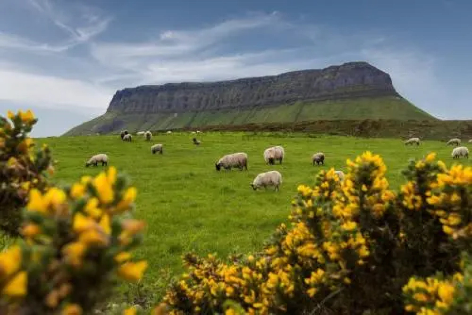Benbulben Suites