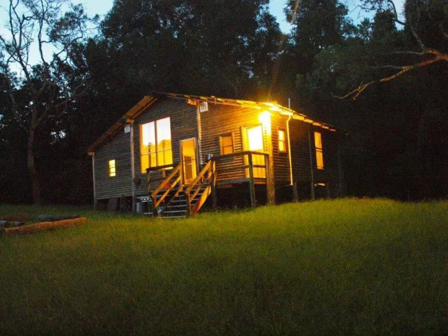 Tristania Tops Barrington