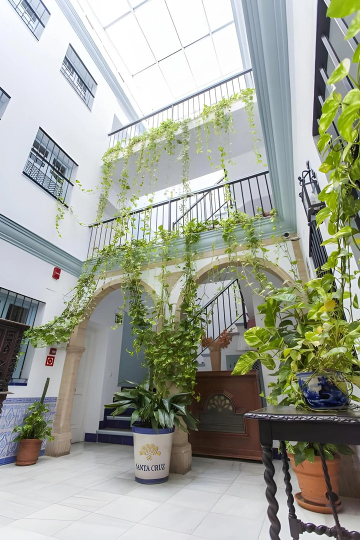 Apartamentos Suites Santa Cruz