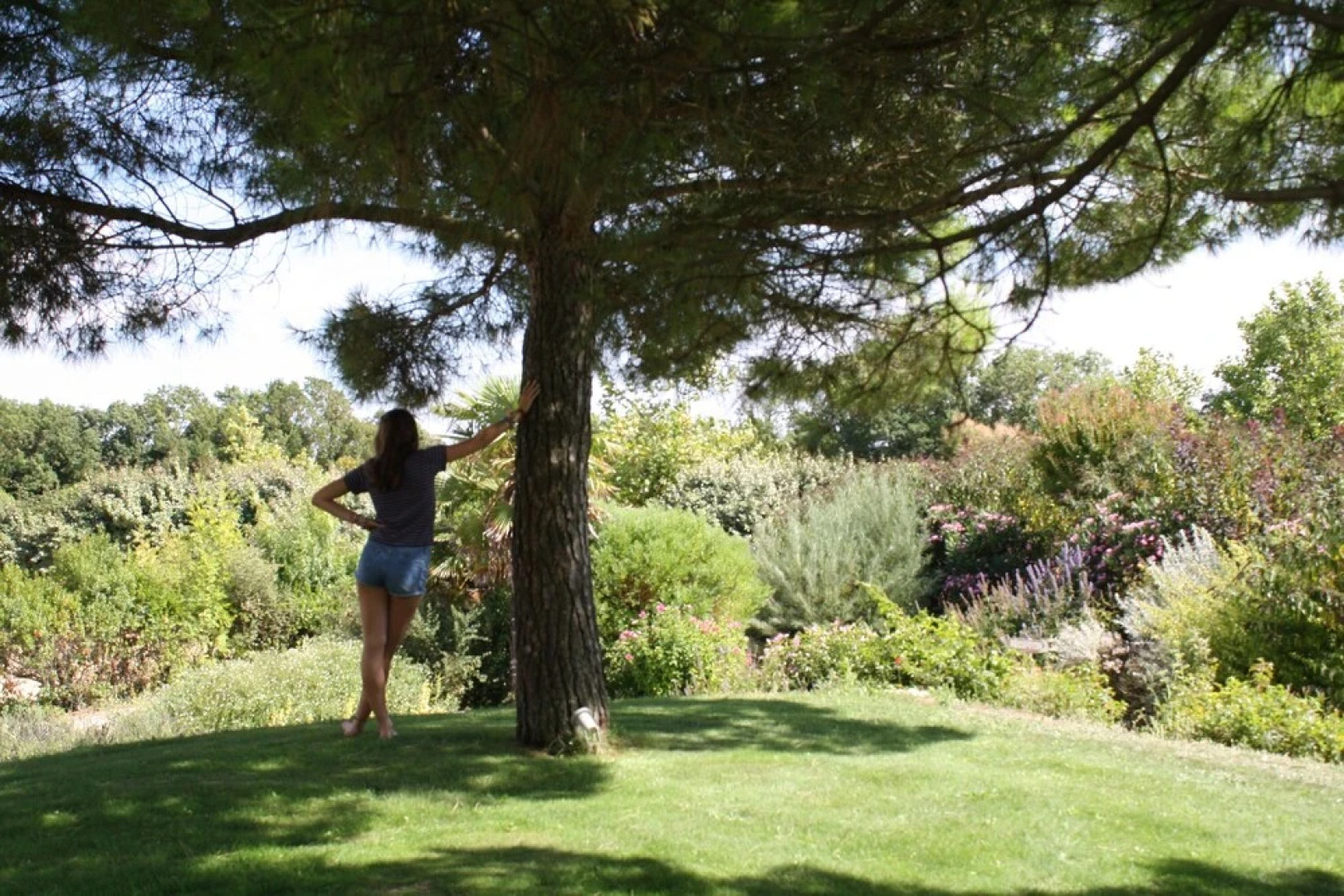 Appartements Cote Ocean