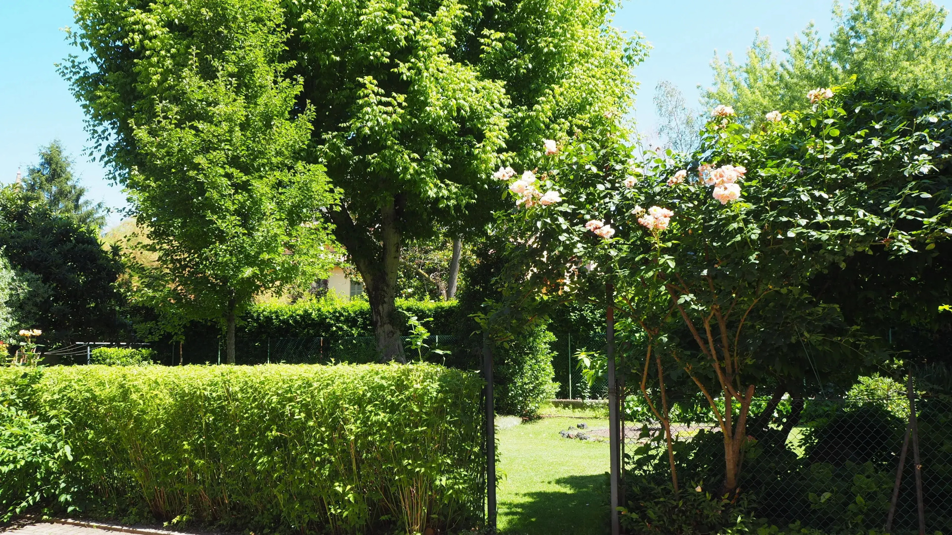 Giardino 34