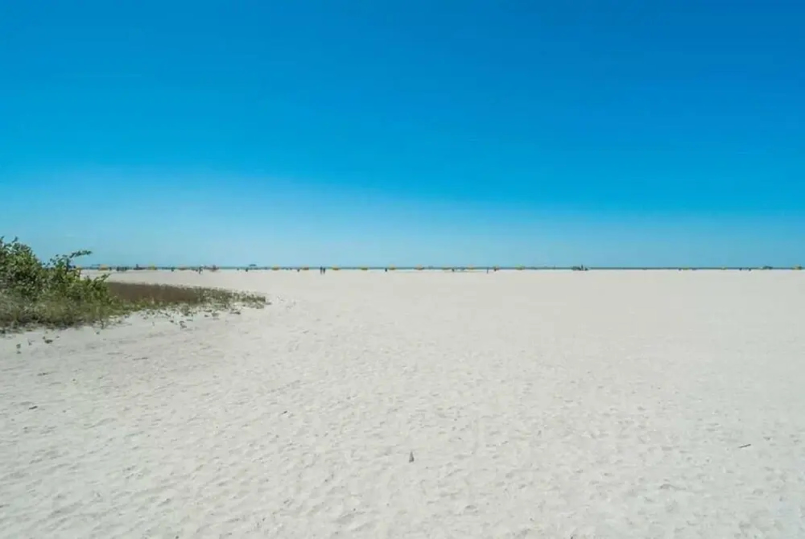 204 - Palms of Treasure Island