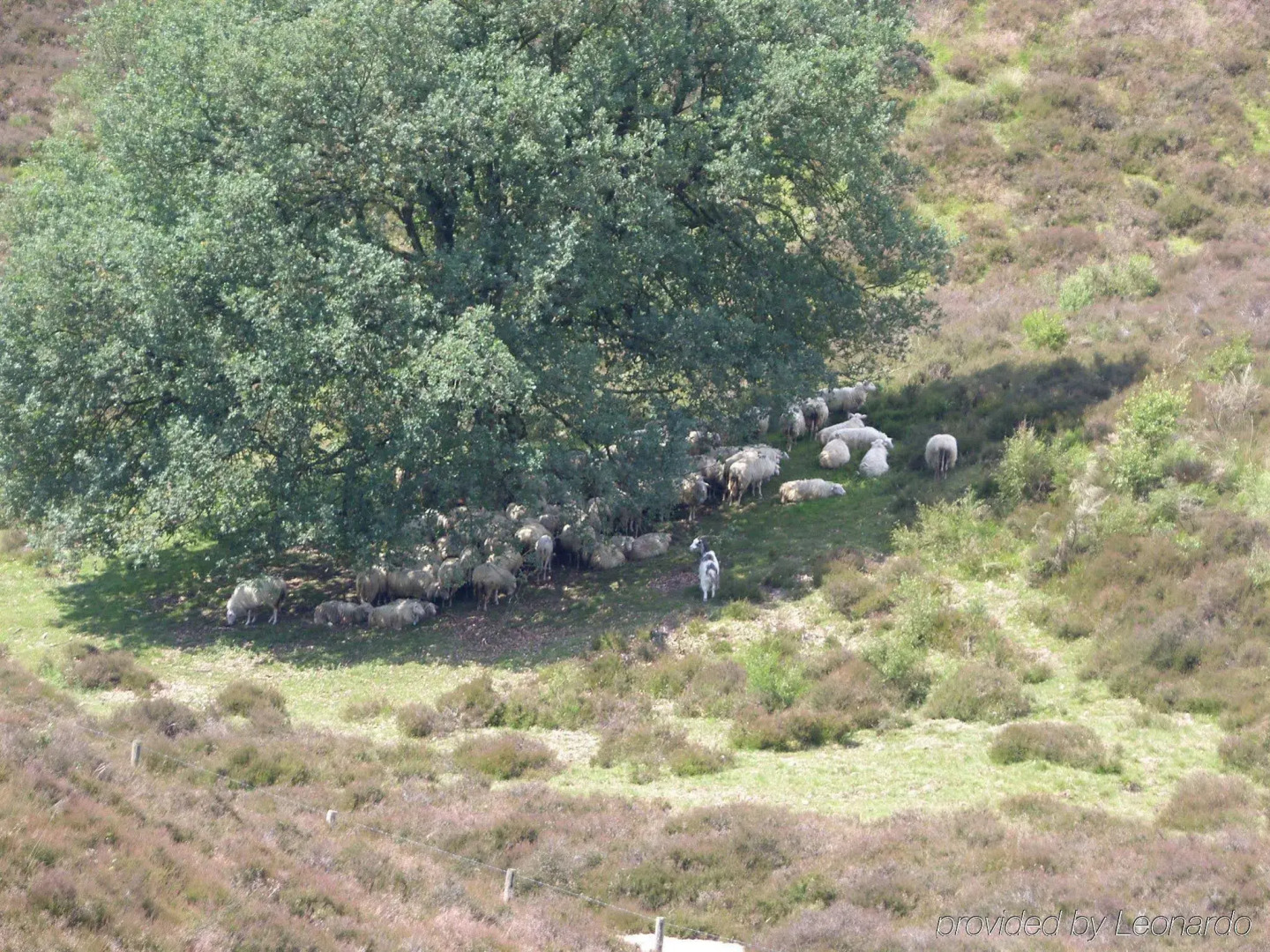 Sandton Hotel de Roskam