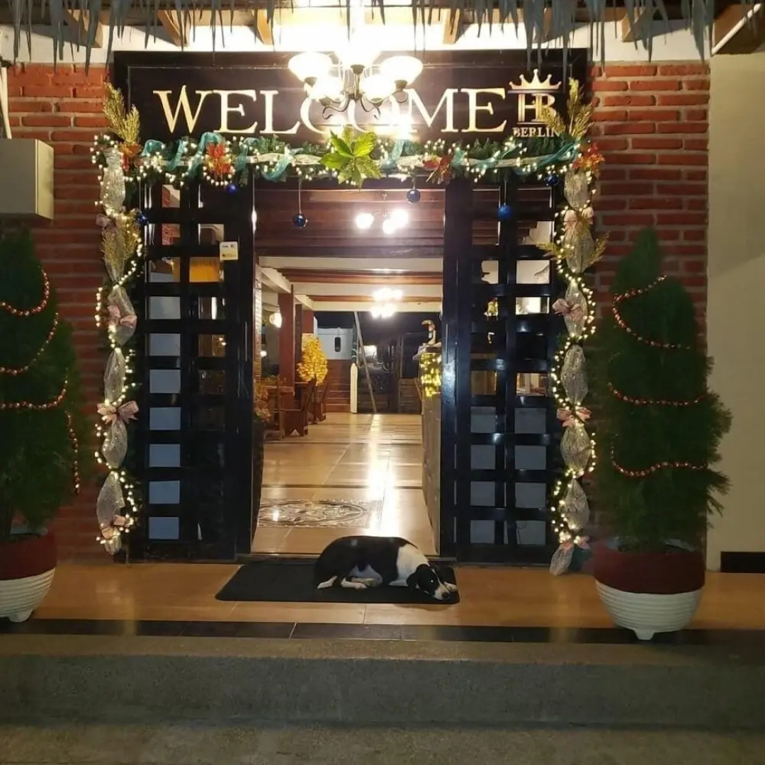 Hotel Berlín International