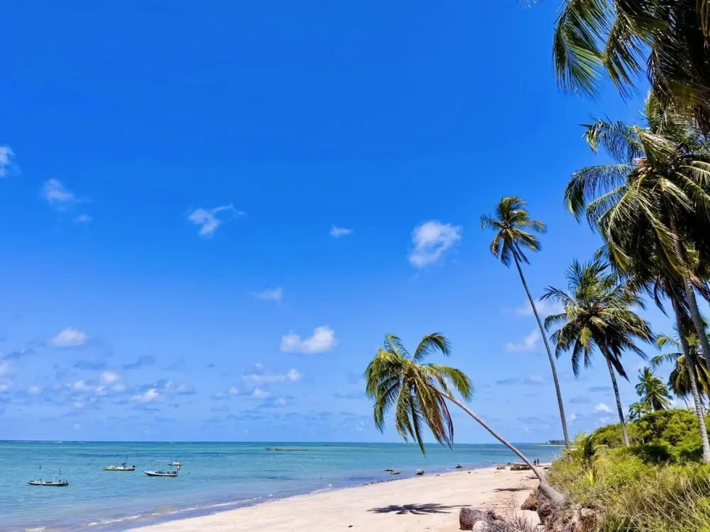 Casa Exuberante em Frente ao mar com 5 Suites