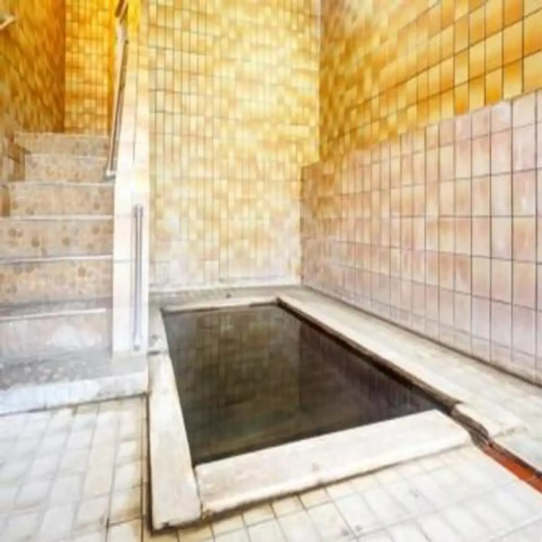 Tsutiu Onsen Yamaneya Ryokan