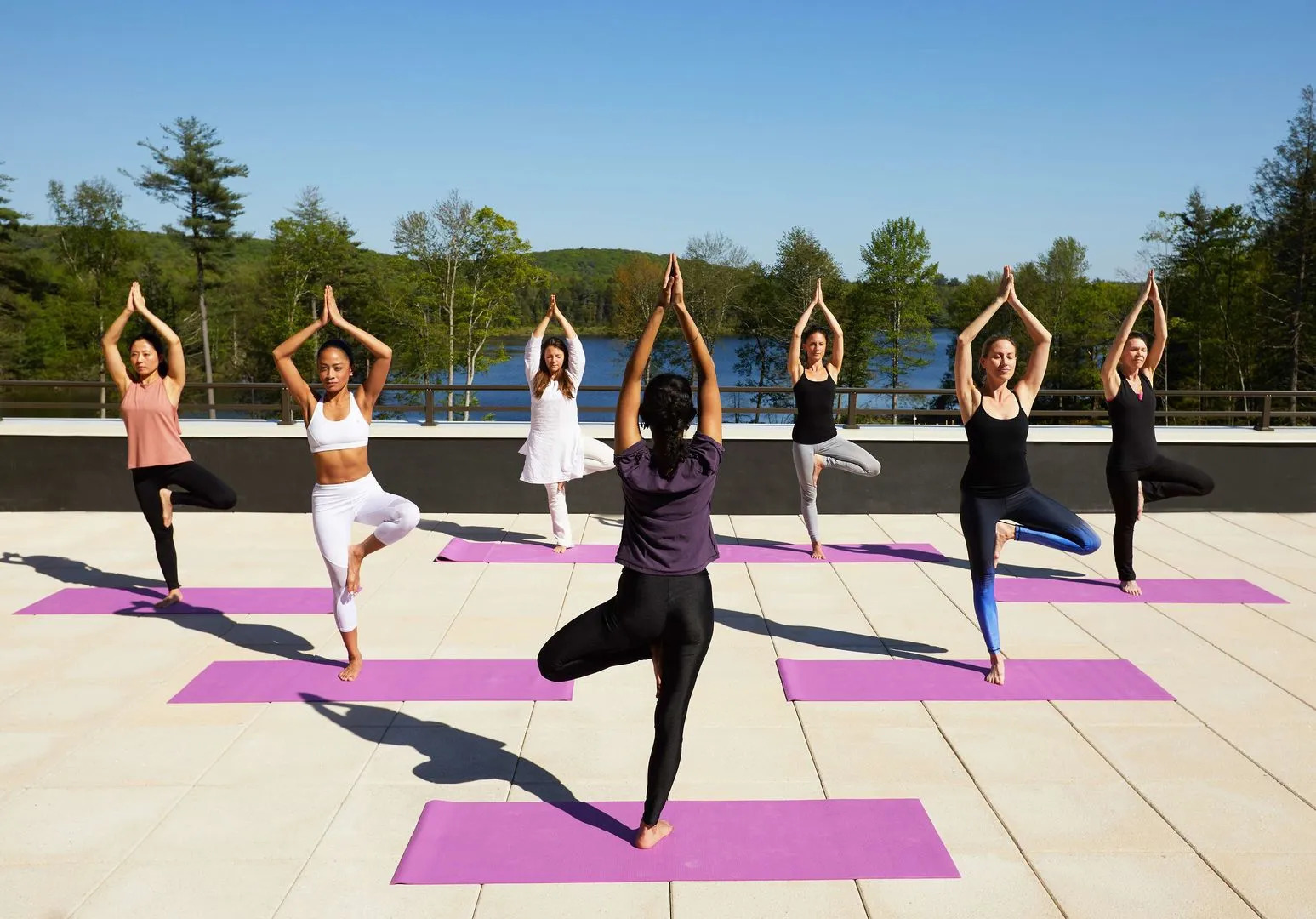 YO1 Longevity & Health Resorts, Catskills