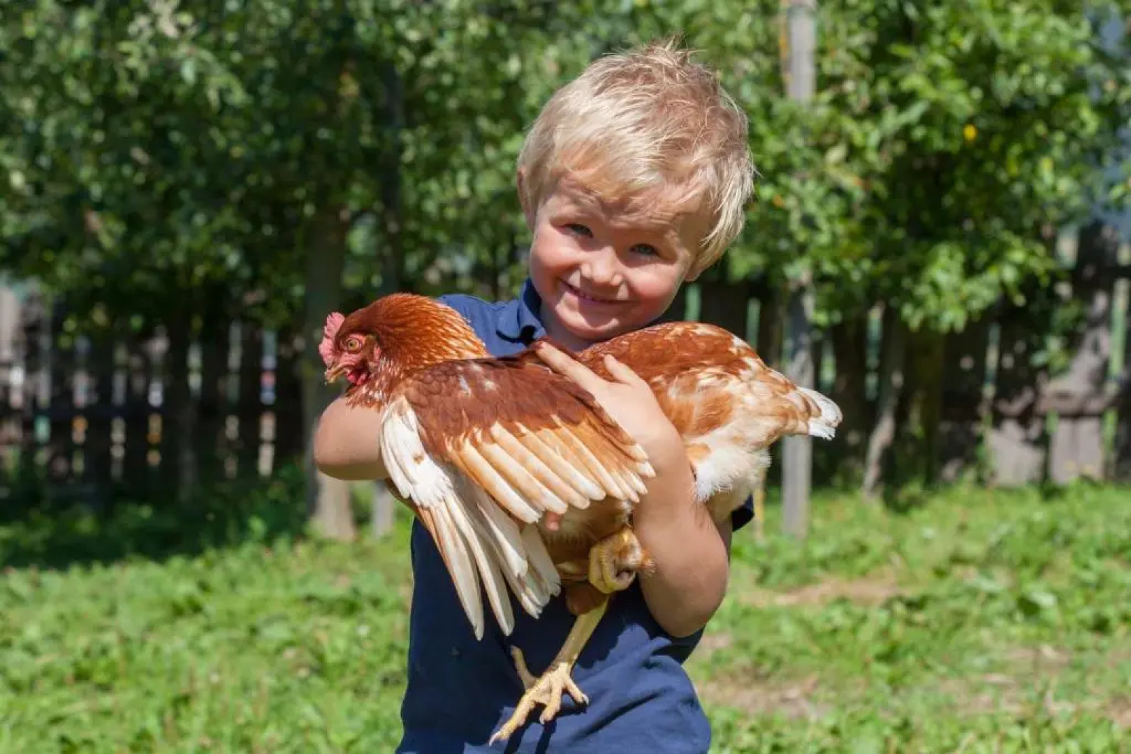 Winklerhof Apartments