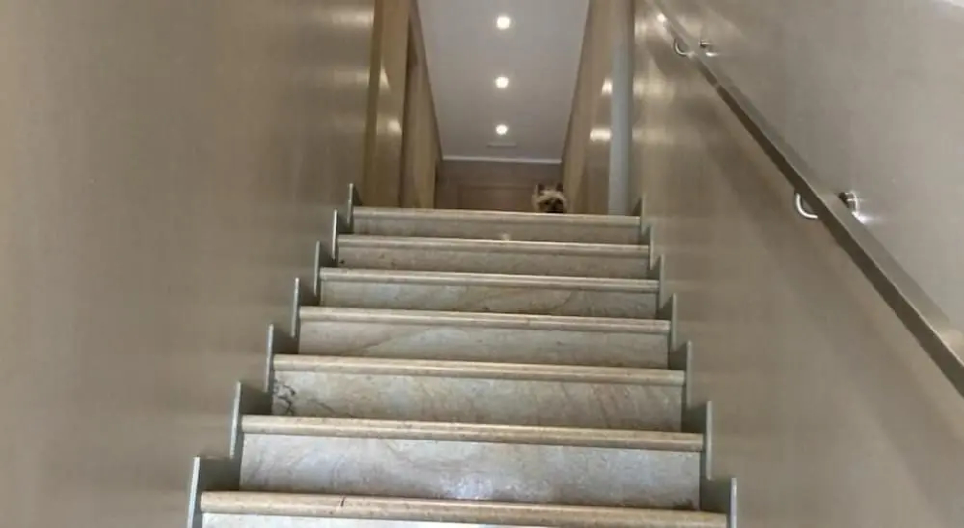 Nuova Locanda Munerato