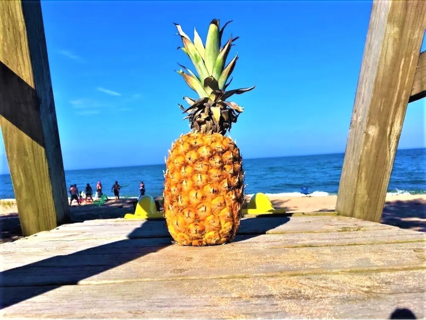 Gold Coast Family Cottages