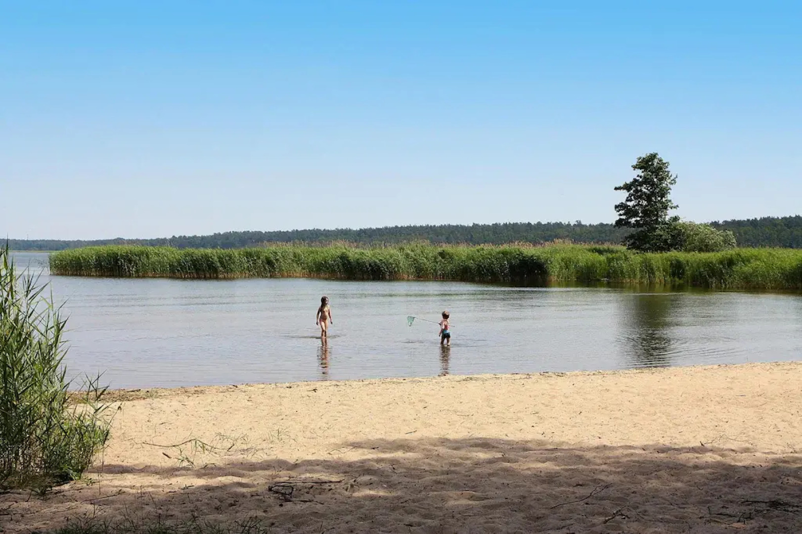 Apartment, Vogelsang-Warsin